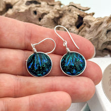 Charger l&#39;image dans la galerie, Boucles d&#39;oreilles verre dichroïque noir bleu et vert - technique Murano

