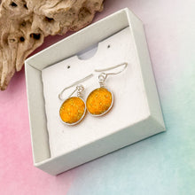 Charger l&#39;image dans la galerie, Boucles d&#39;oreilles ambre transparente en verre dichroique - technique Murano
